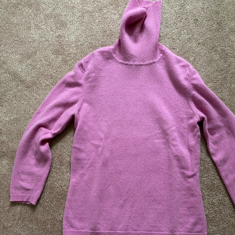 100% Cashmere Sweater Ann Taylor